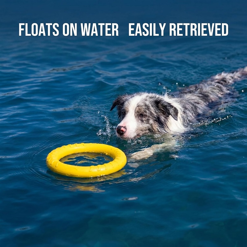 Flying Disc Dog Training Toy - Juguetes para perros, discos voladores para