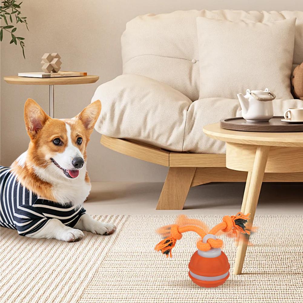 Bola para mascotas para perros - Automatic Moving Dog Ball reseña y precio