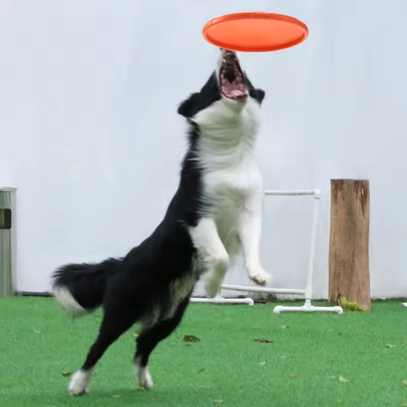 Juguete Interactivo de Silicon - Flying Disc Dog Training Toy reseña y precio
