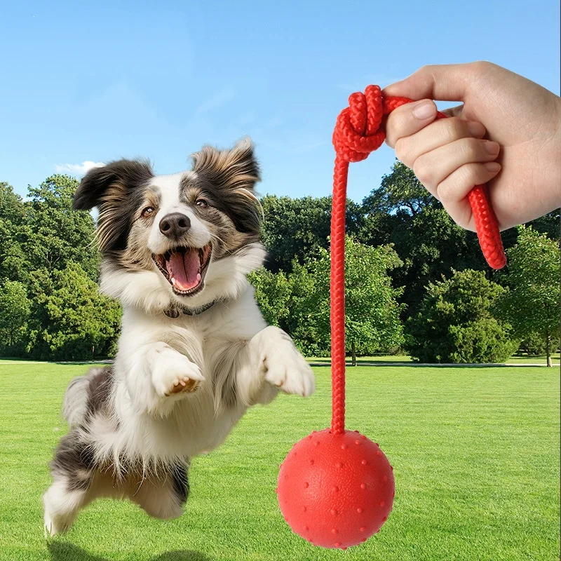Pelota indestructible para per - Indestructible Dog Chew Toy reseña y precio