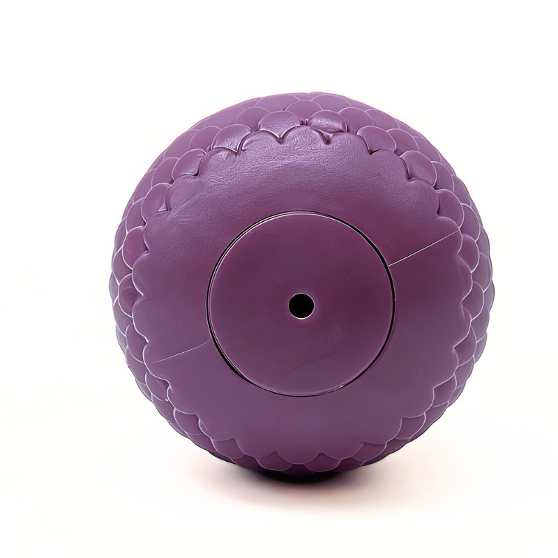 Juguete duradero y sonoro con  - Indestructible Dog Chew Toy reseña y precio